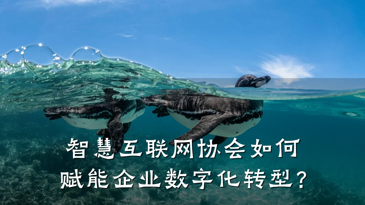 智慧互联网协会如何赋能企业数字化转型?