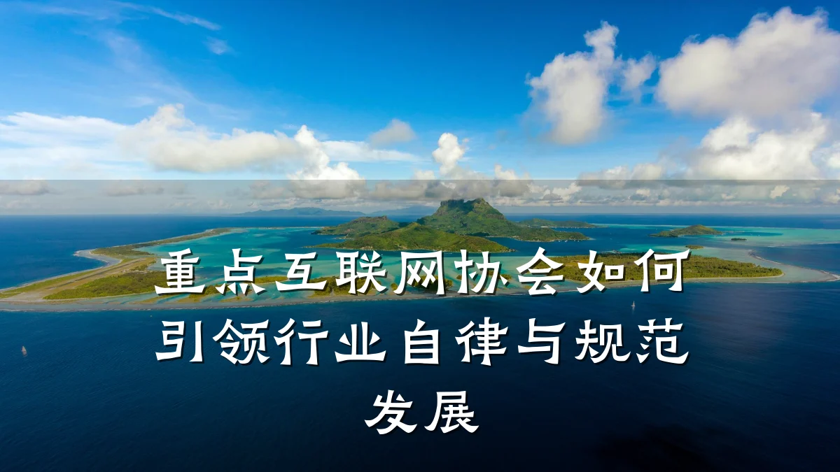 重点互联网协会如何引领行业自律与规范发展
