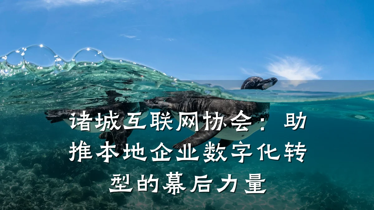 诸城互联网协会：助推本地企业数字化转型的幕后力量