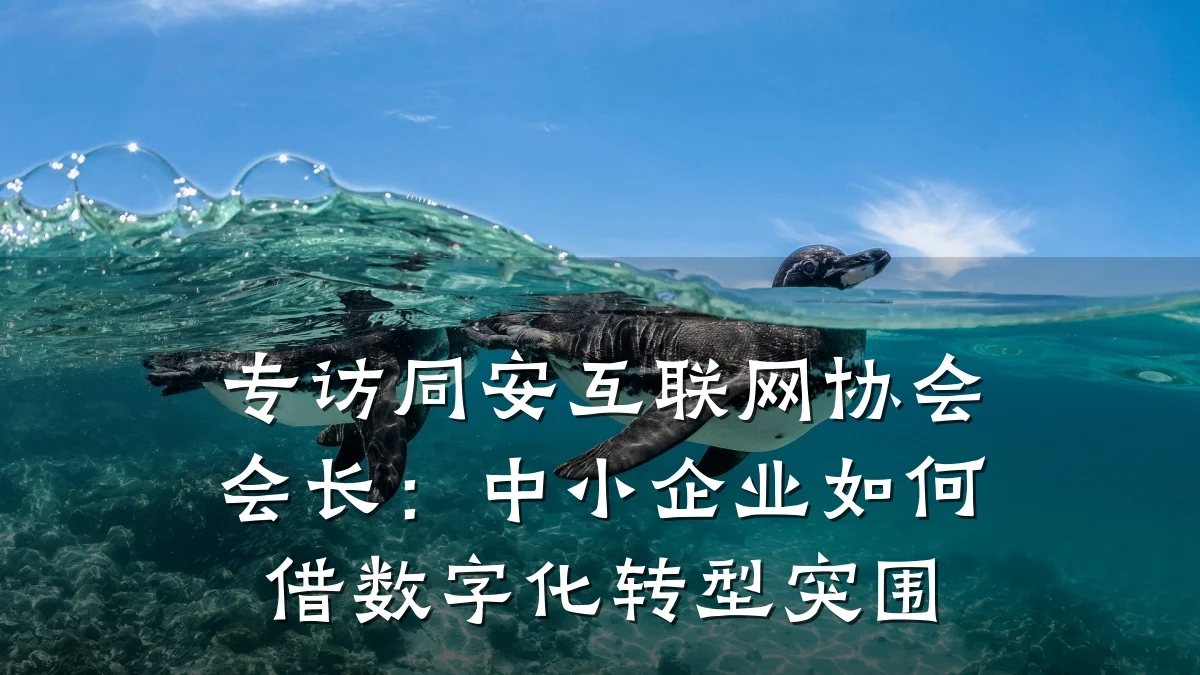 专访同安互联网协会会长：中小企业如何借数字化转型突围