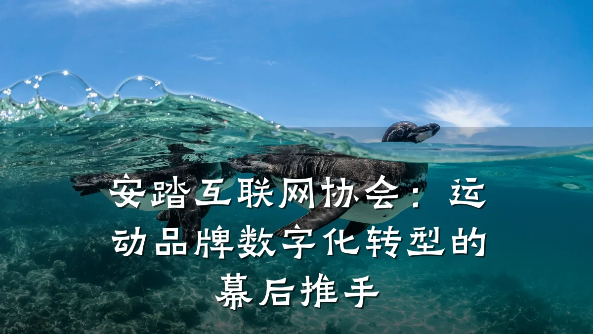 安踏互联网协会:运动品牌数字化转型的幕后推手