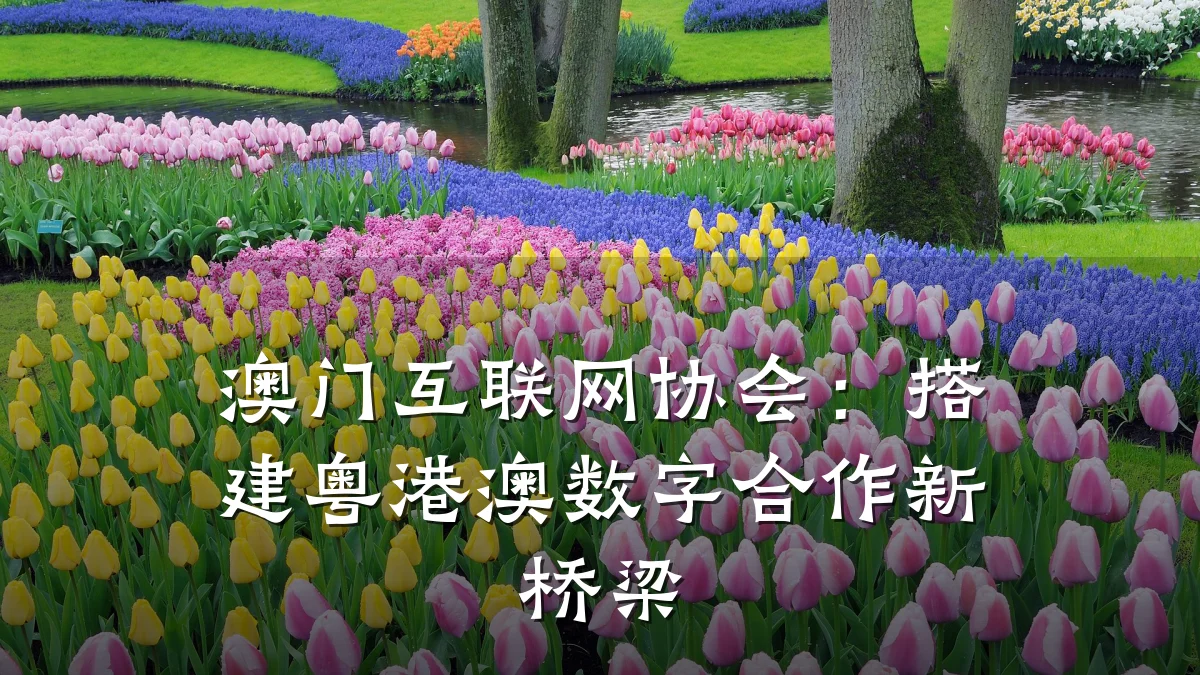 澳门互联网协会：搭建粤港澳数字合作新桥梁