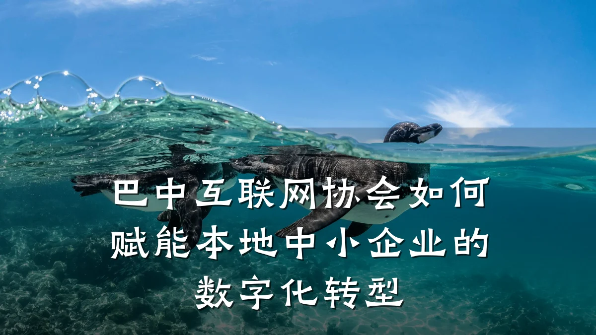 巴中互联网协会如何赋能本地中小企业的数字化转型