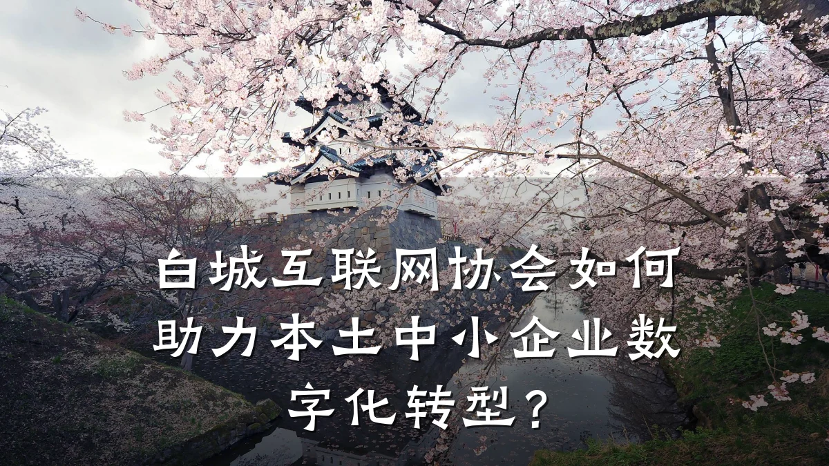 白城互联网协会如何助力本土中小企业数字化转型?