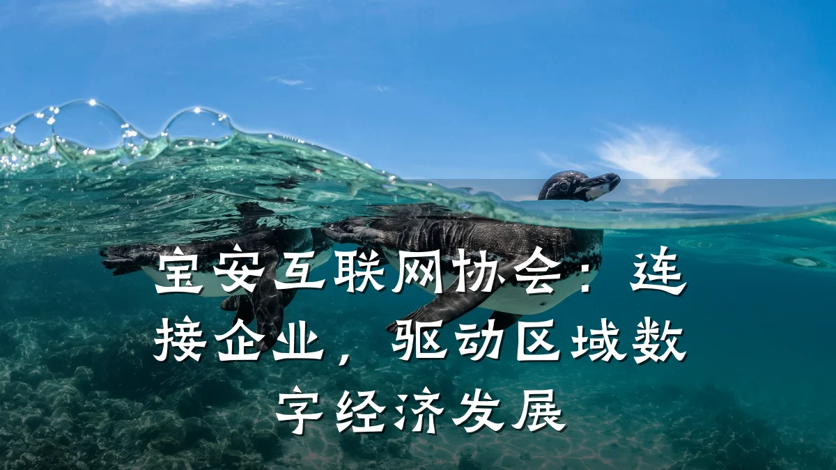宝安互联网协会：连接企业，驱动区域数字经济发展