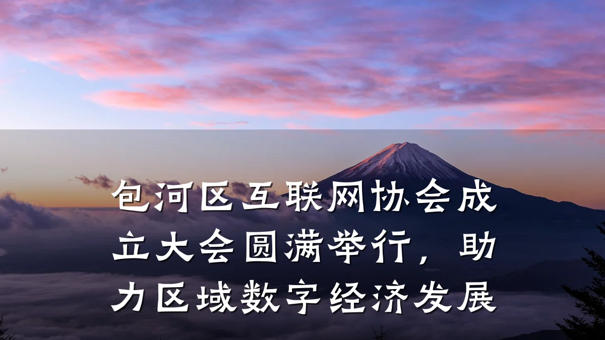 包河区互联网协会成立大会圆满举行,助力区域数字经济发展
