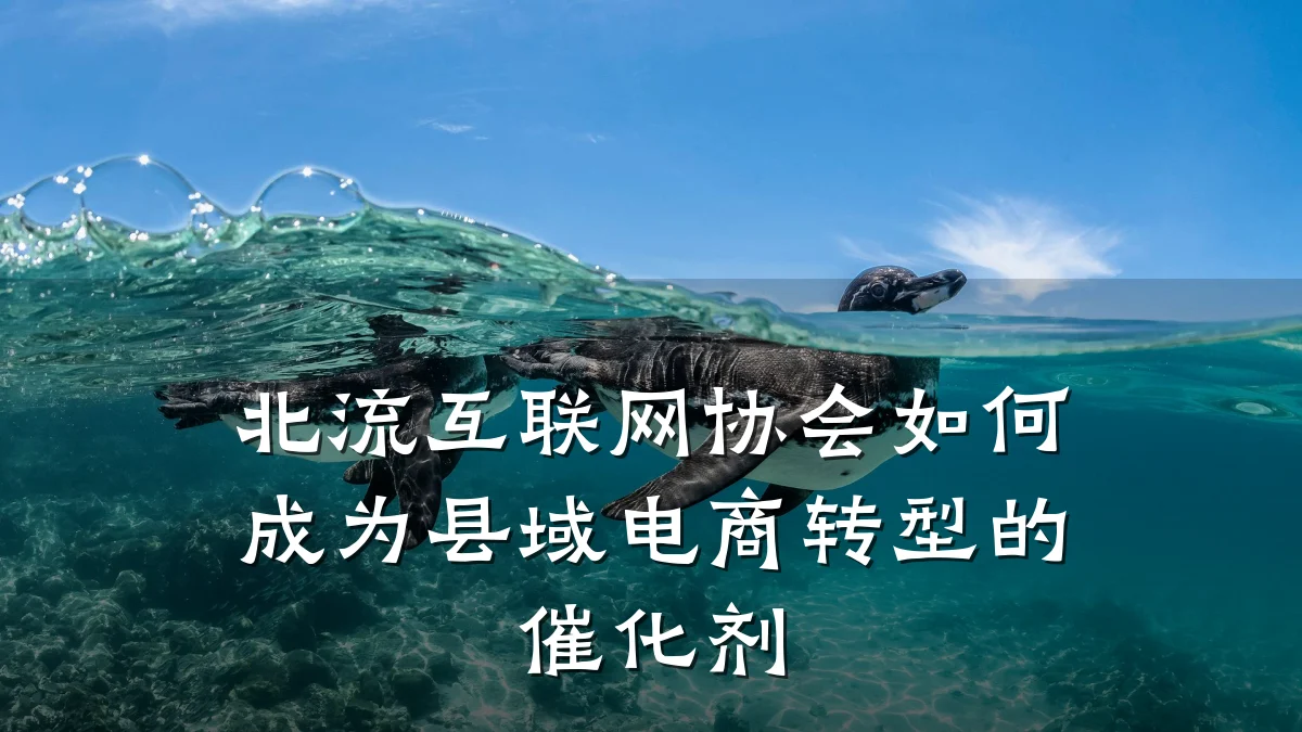 北流互联网协会如何成为县域电商转型的催化剂
