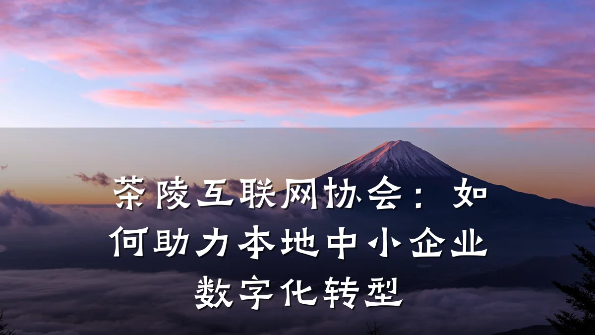 茶陵互联网协会：如何助力本地中小企业数字化转型