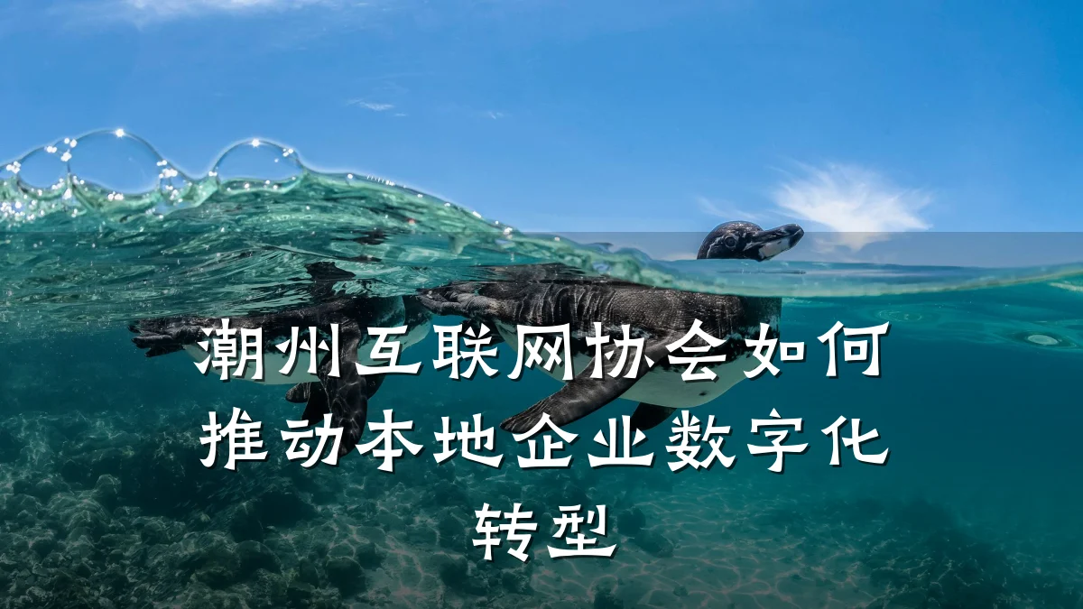 潮州互联网协会如何推动本地企业数字化转型