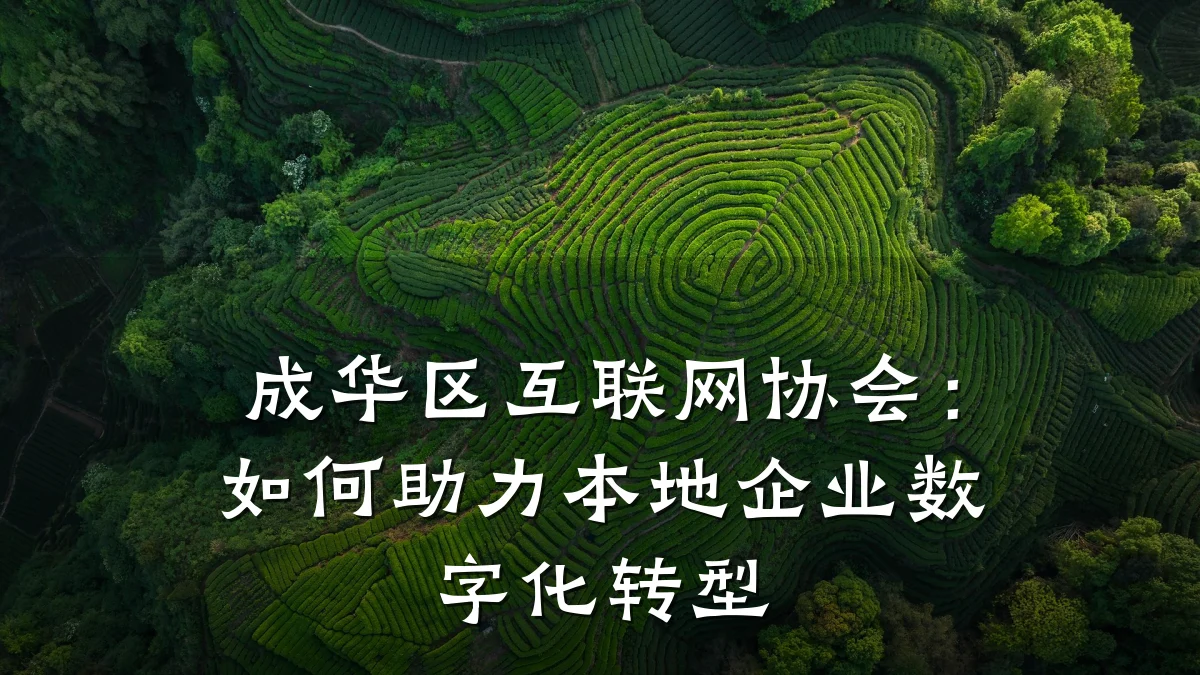 成华区互联网协会:如何助力本地企业数字化转型