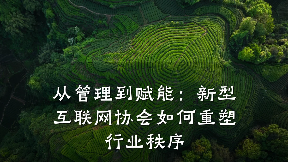 从管理到赋能：新型互联网协会如何重塑行业秩序