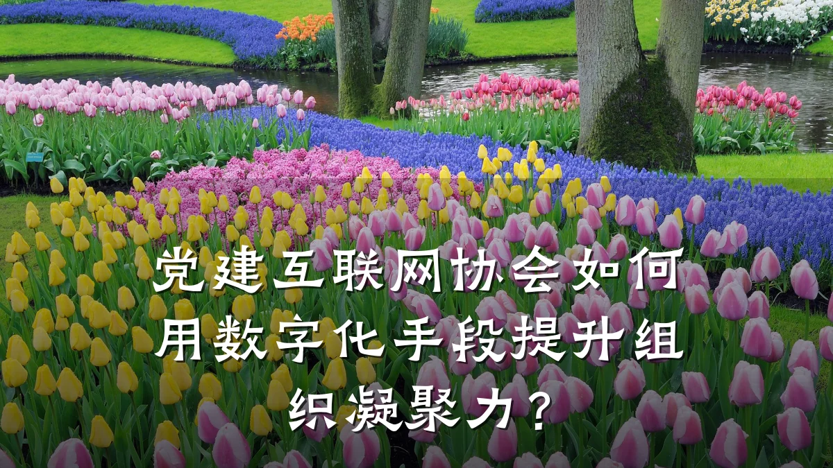 党建互联网协会如何用数字化手段提升组织凝聚力?