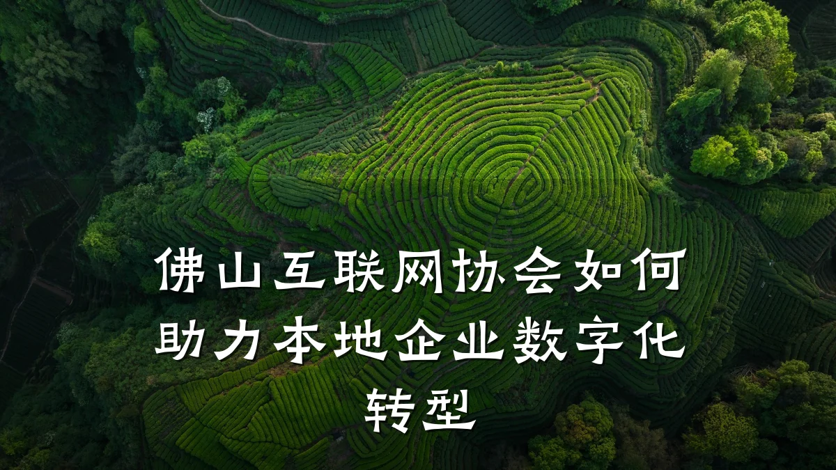 佛山互联网协会如何助力本地企业数字化转型