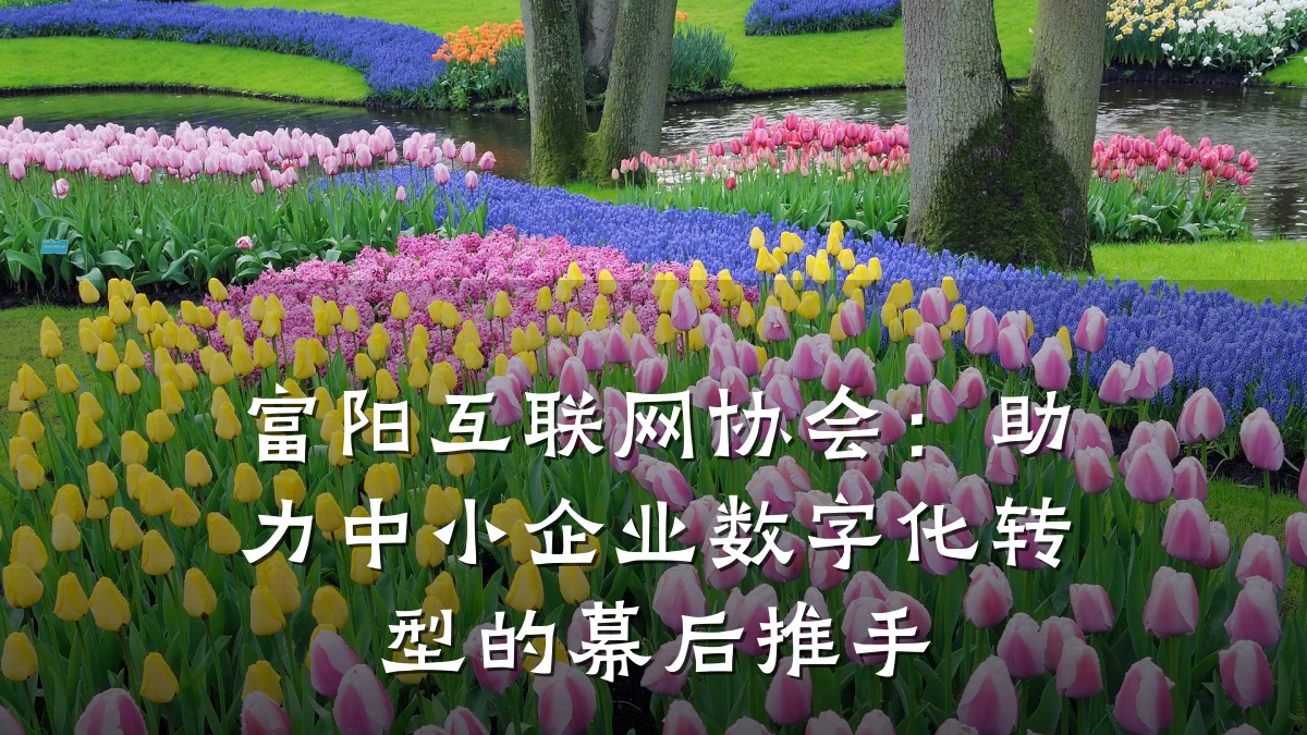 富阳互联网协会：助力中小企业数字化转型的幕后推手