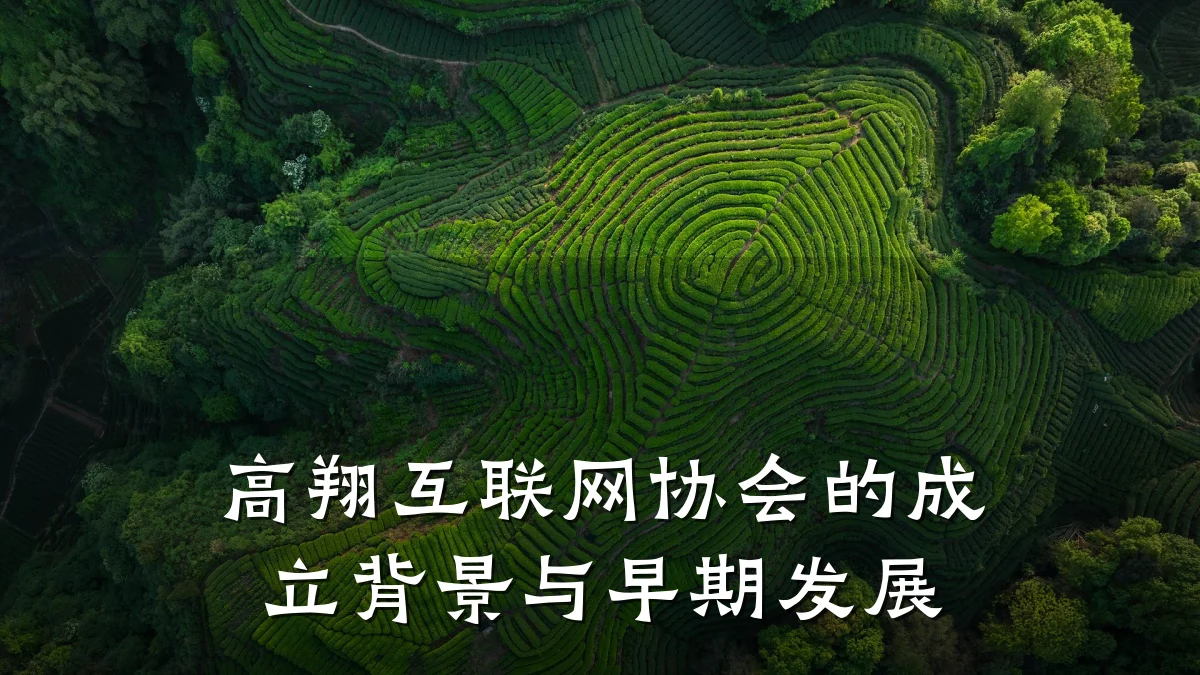 高翔互联网协会的成立背景与早期发展