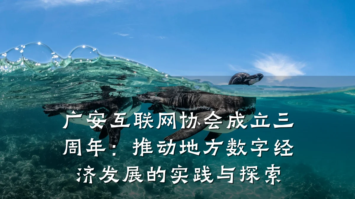 广安互联网协会成立三周年:推动地方数字经济发展的实践与探索