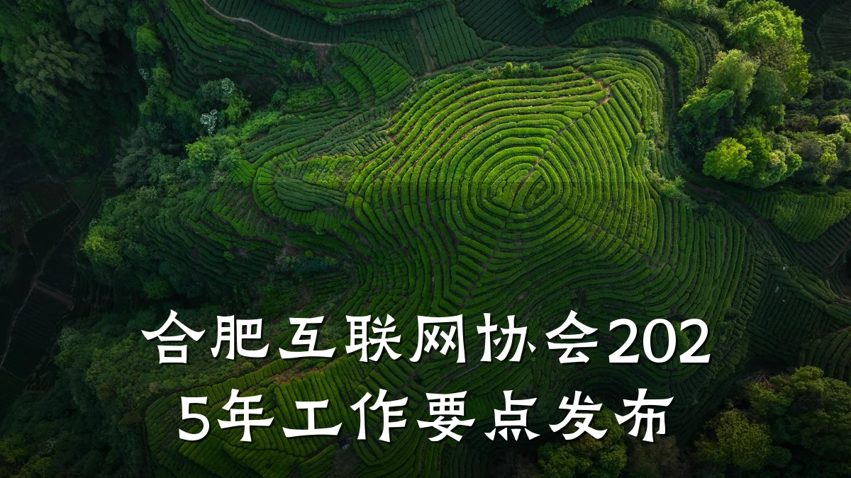 合肥互联网协会2025年工作要点发布