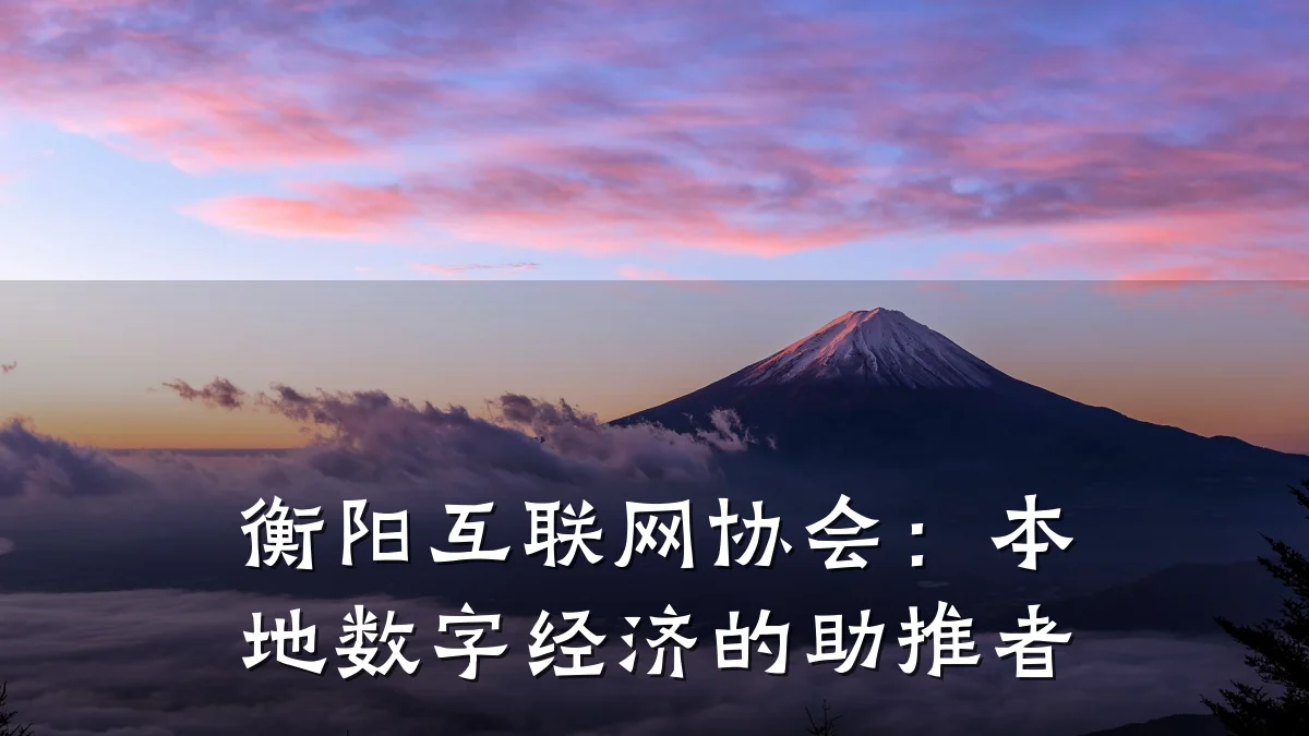 衡阳互联网协会:本地数字经济的助推者
