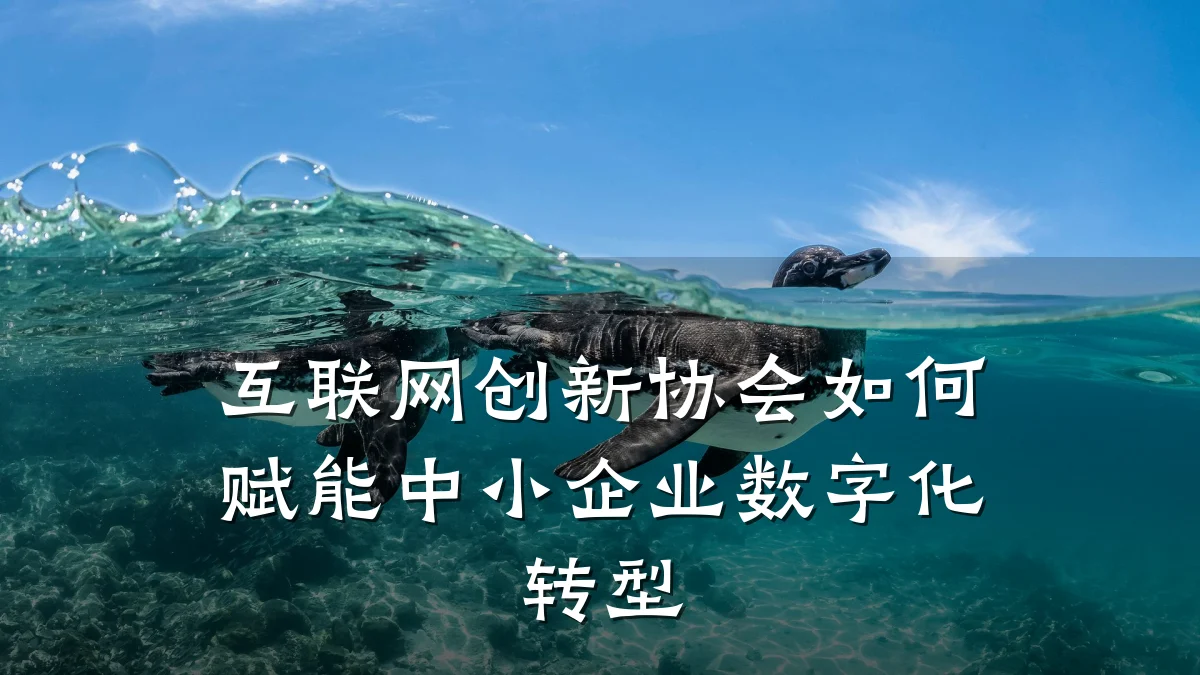 互联网创新协会如何赋能中小企业数字化转型