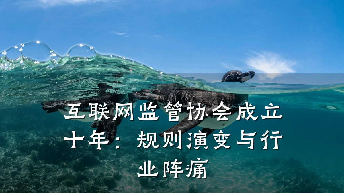 互联网监管协会成立十年:规则演变与行业阵痛
