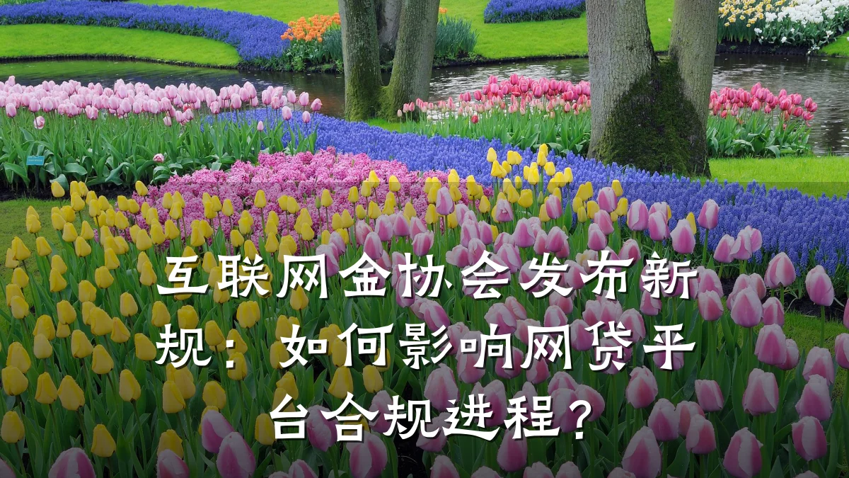 互联网金协会发布新规：如何影响网贷平台合规进程？