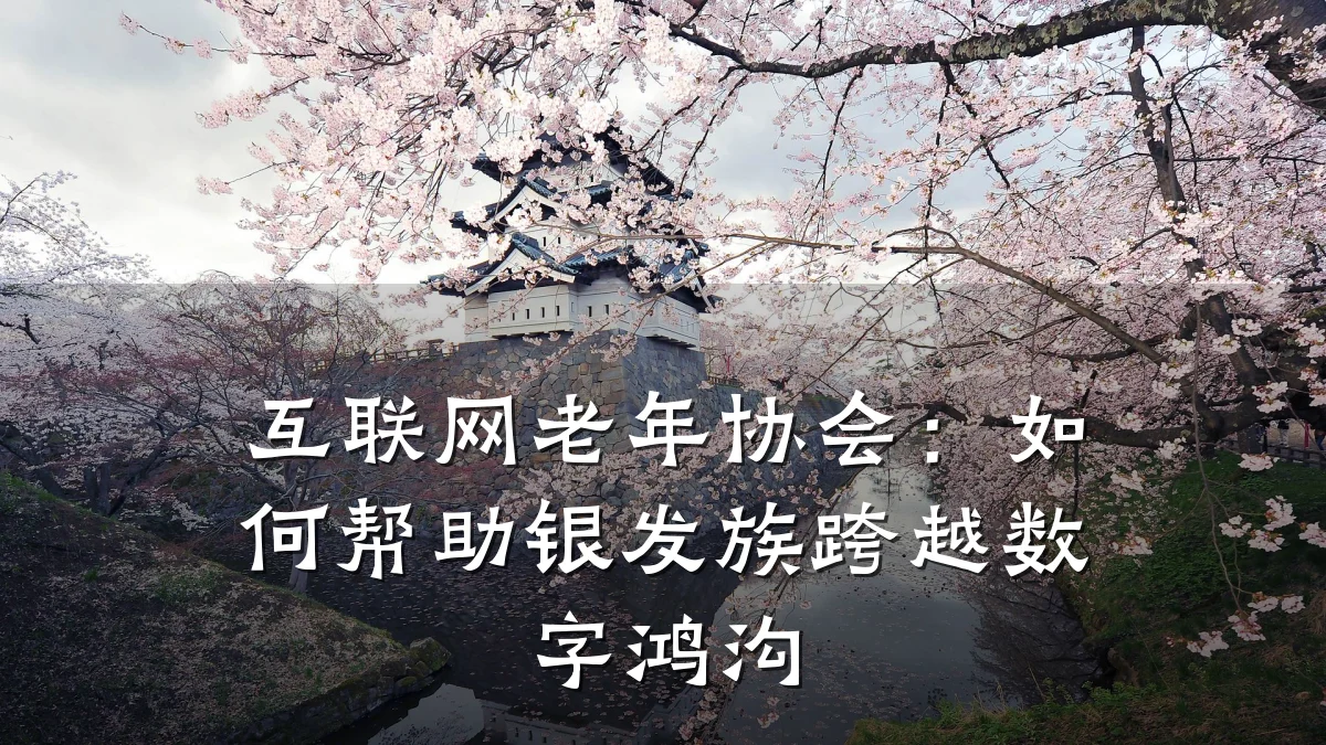 互联网老年协会：如何帮助银发族跨越数字鸿沟