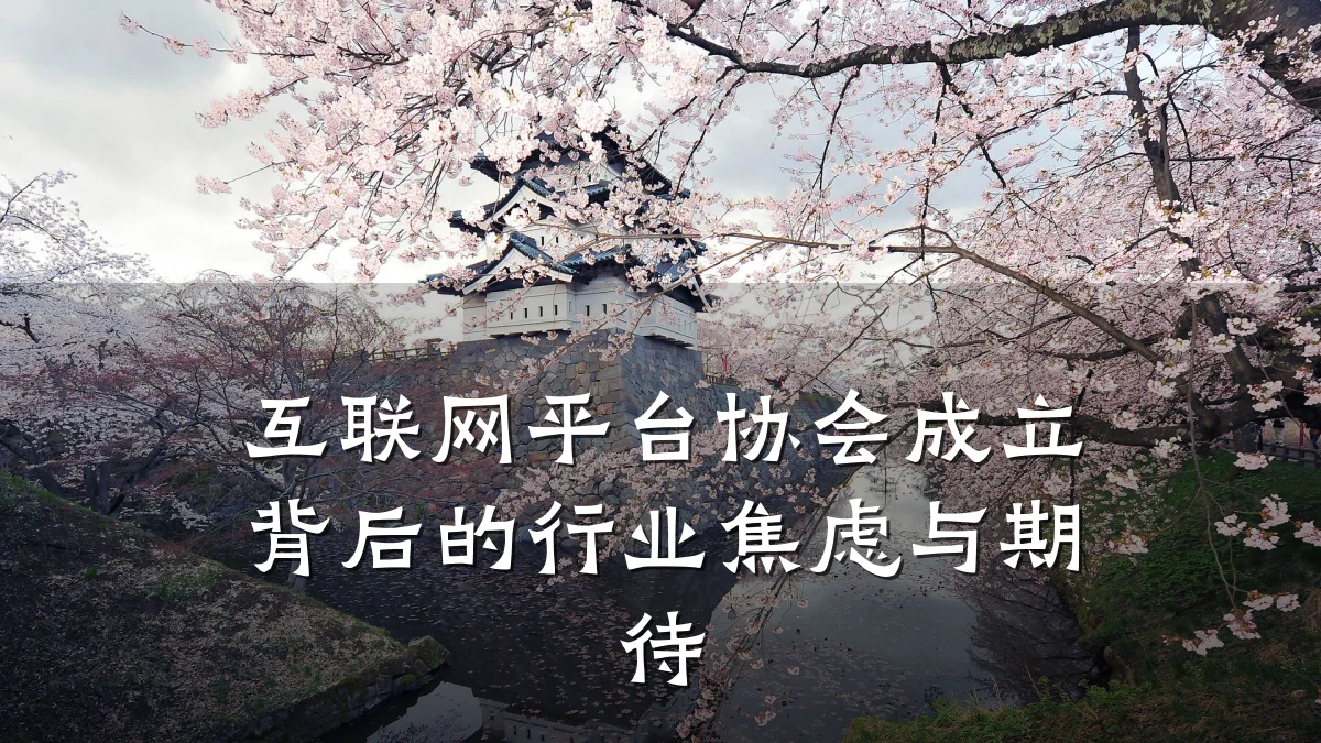 互联网平台协会成立背后的行业焦虑与期待