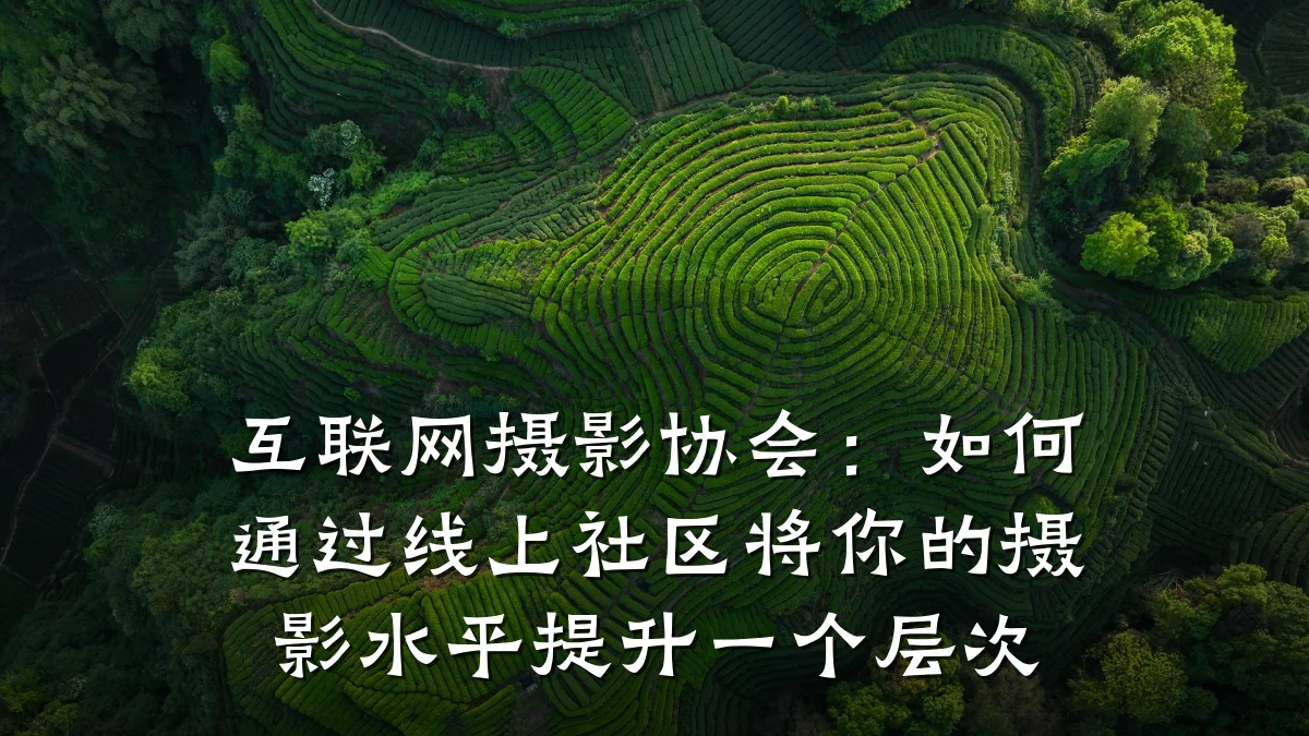 互联网摄影协会：如何通过线上社区将你的摄影水平提升一个层次