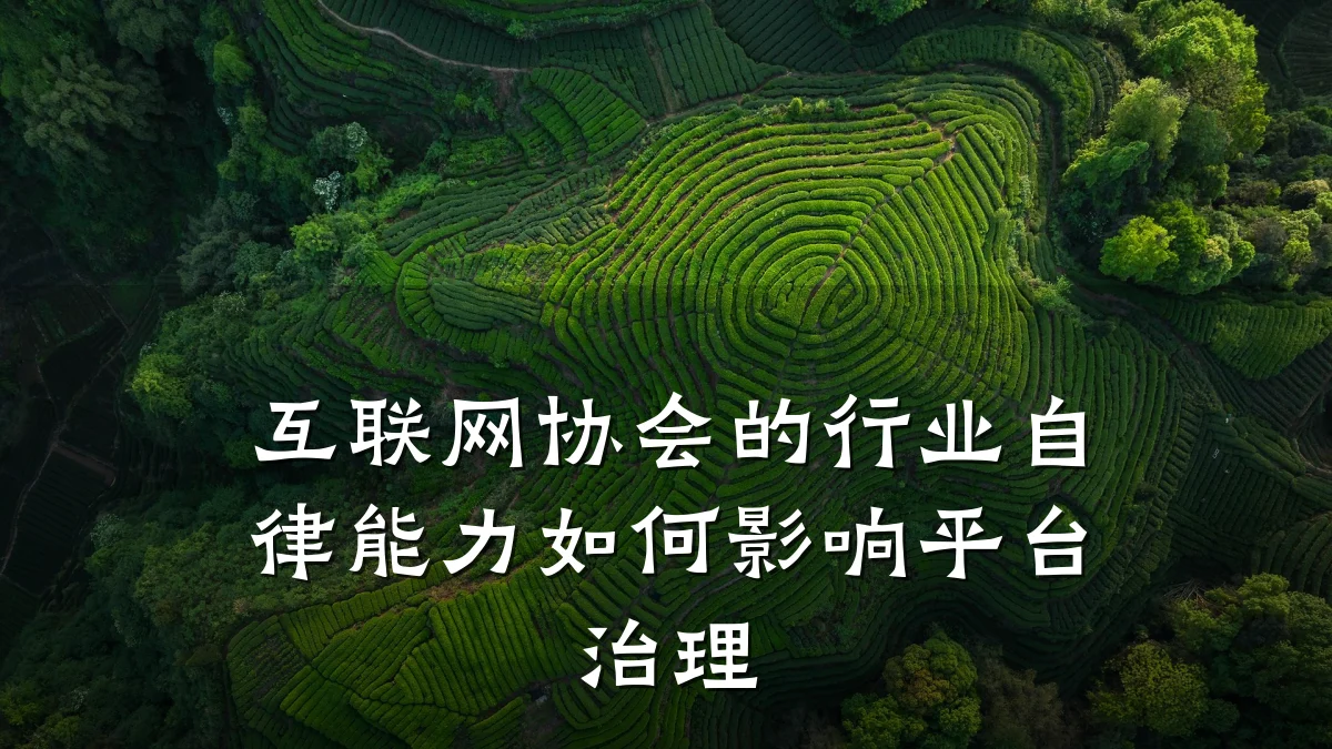 互联网协会的行业自律能力如何影响平台治理