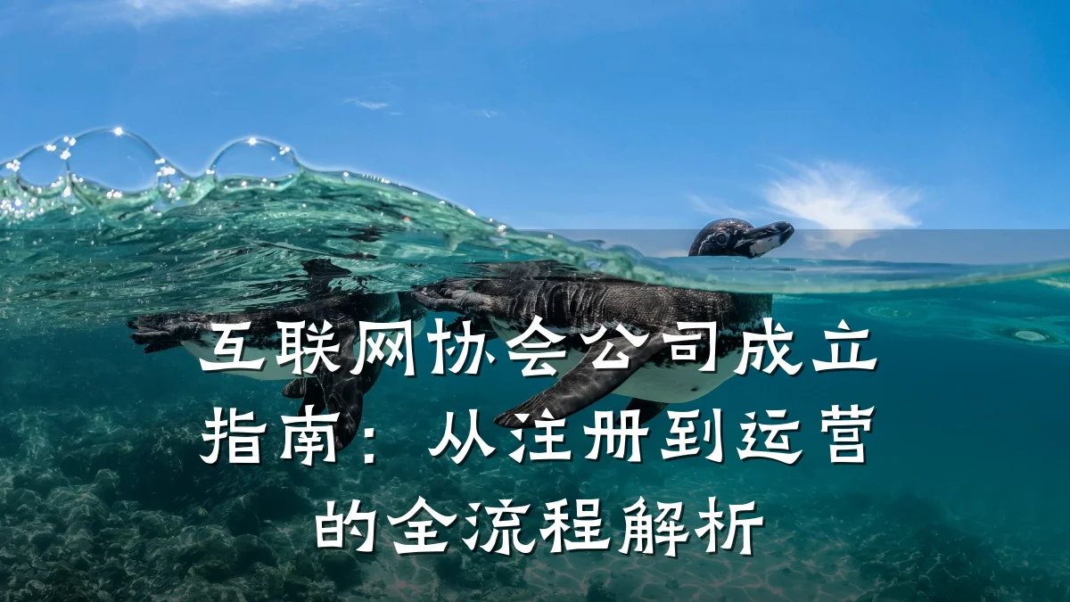 互联网协会公司成立指南:从注册到运营的全流程解析