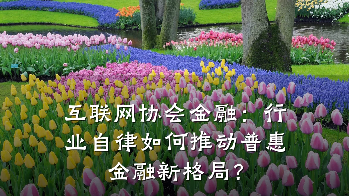 互联网协会金融：行业自律如何推动普惠金融新格局？
