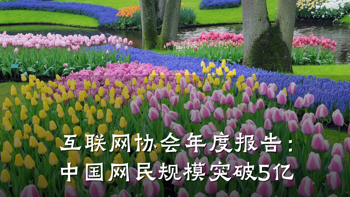 互联网协会年度报告:中国网民规模突破5亿