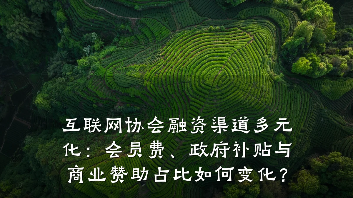 互联网协会融资渠道多元化:会员费、政府补贴与商业赞助占比如何变化?
