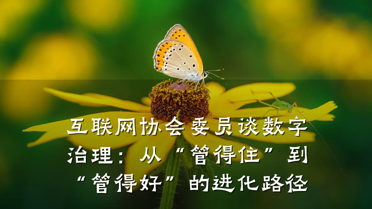互联网协会委员谈数字治理:从“管得住”到“管得好”的进化路径