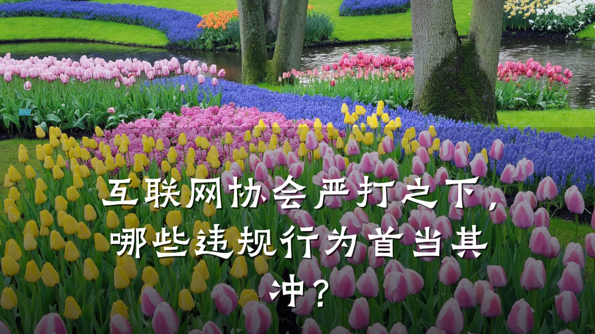 互联网协会严打之下,哪些违规行为首当其冲?