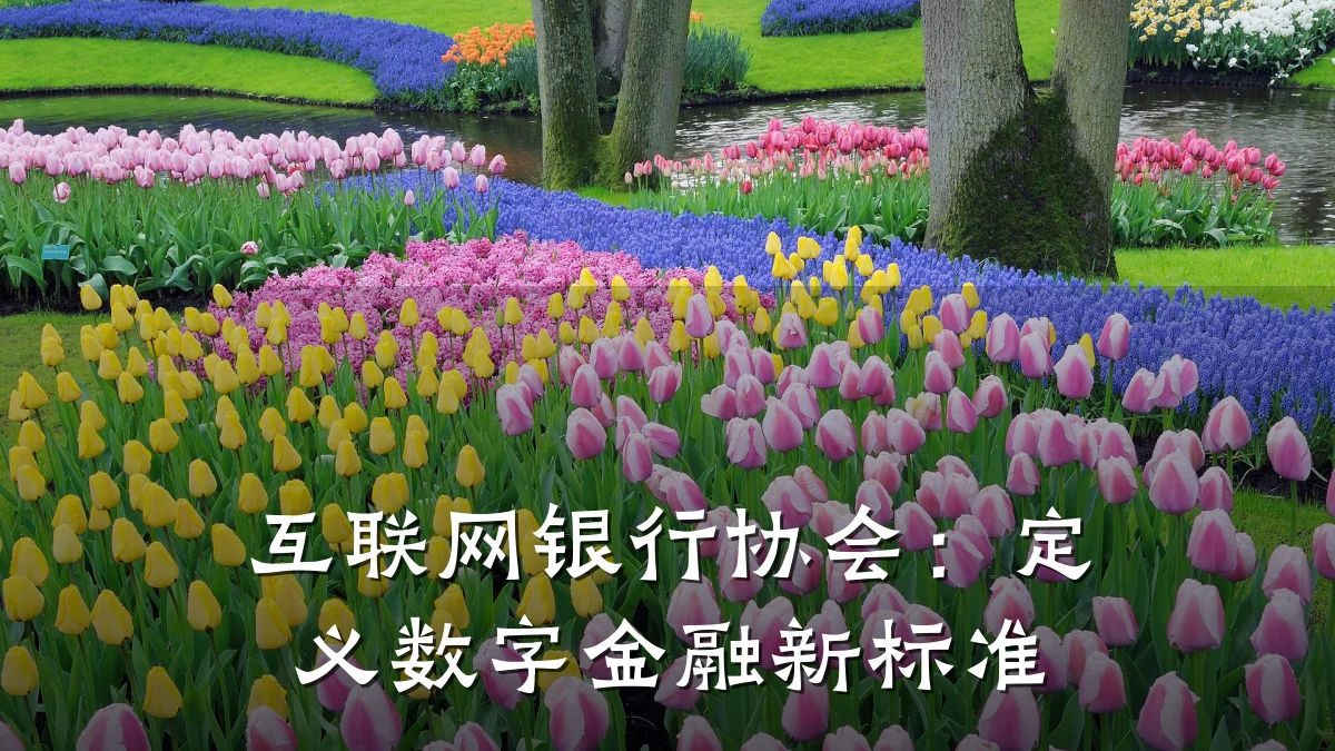 互联网银行协会：定义数字金融新标准