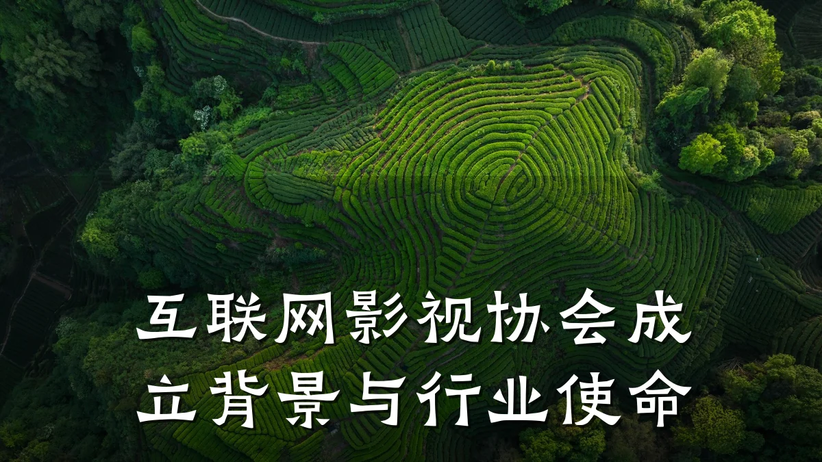 互联网影视协会成立背景与行业使命