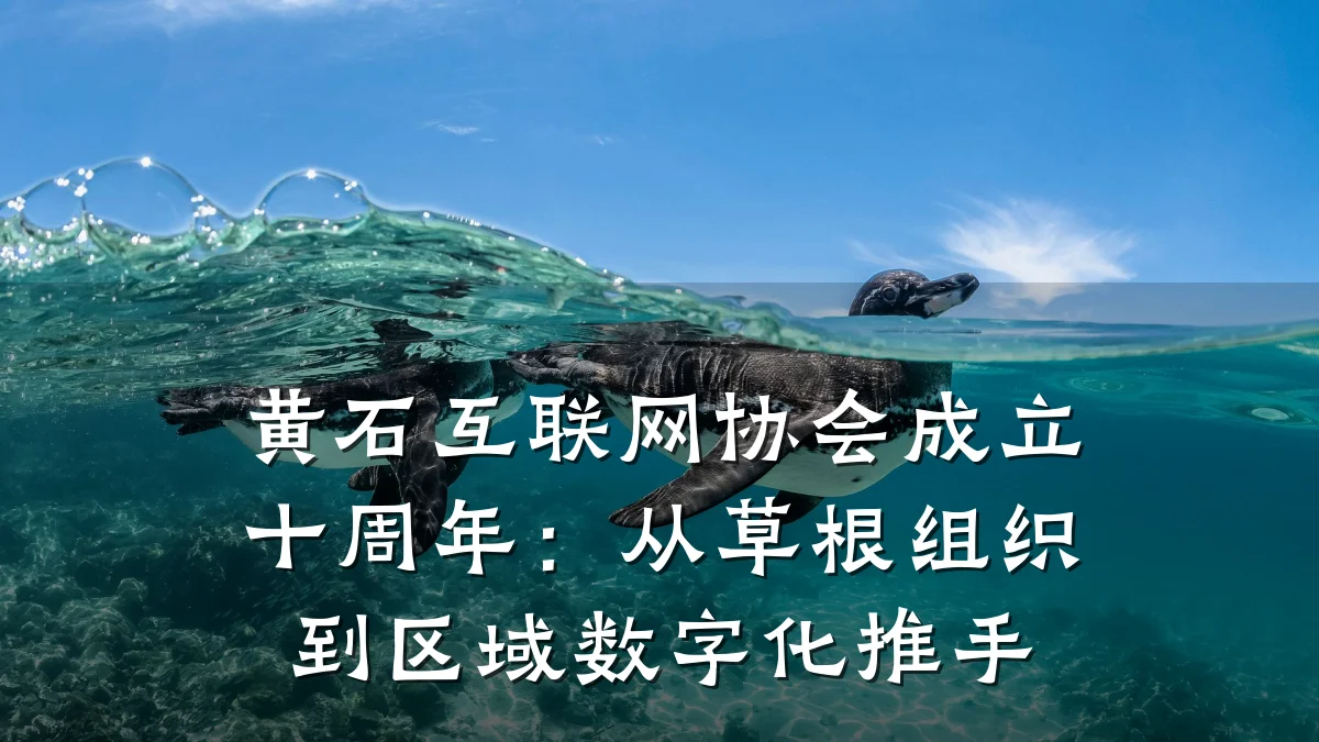 黄石互联网协会成立十周年:从草根组织到区域数字化推手