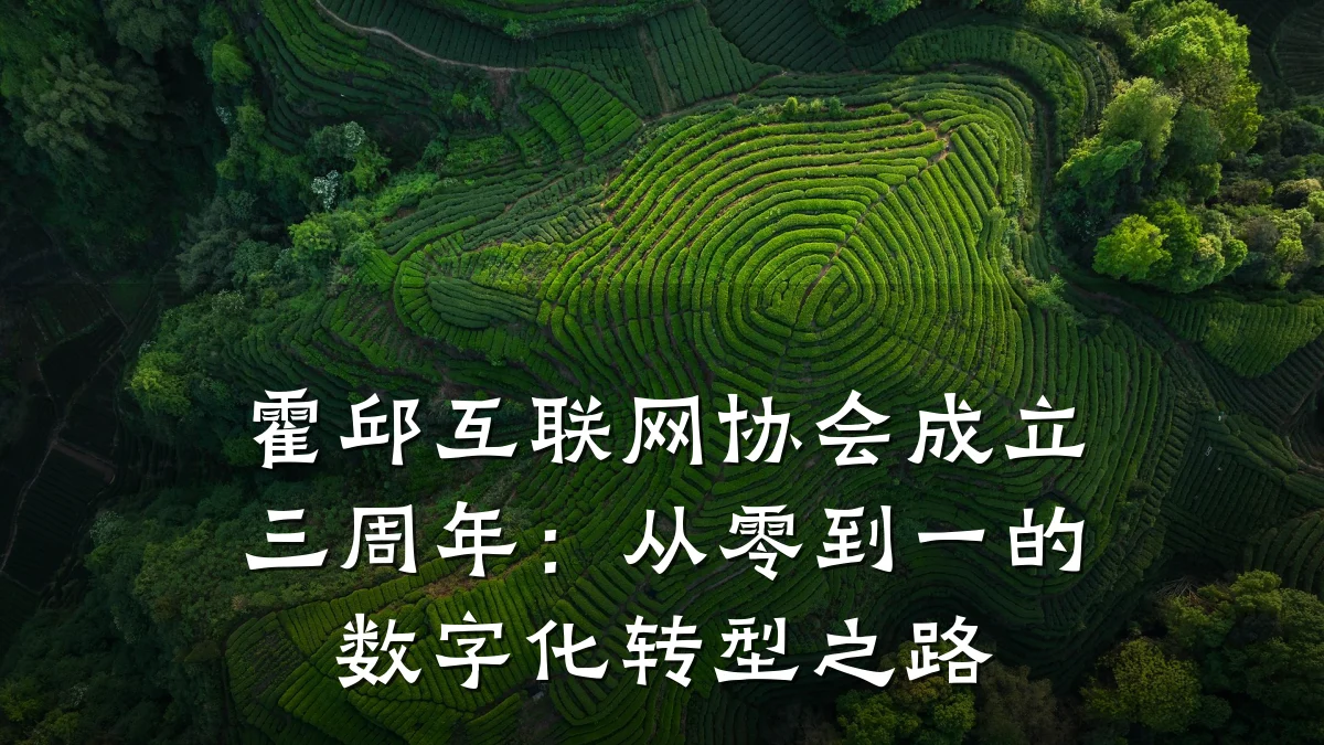 霍邱互联网协会成立三周年：从零到一的数字化转型之路