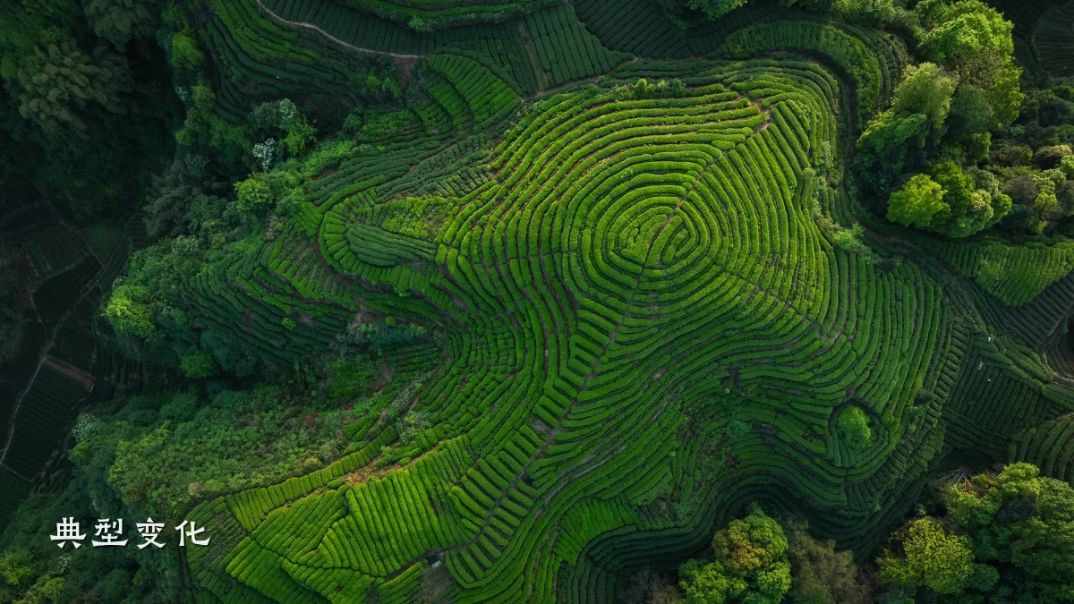 典型变化