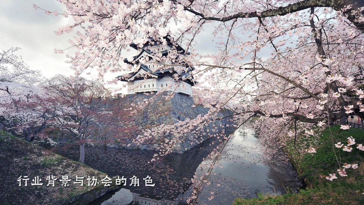 行业背景与协会的角色