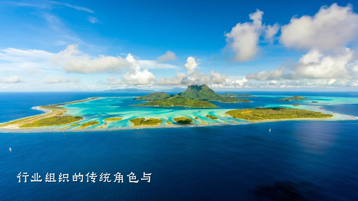 行业组织的传统角色与