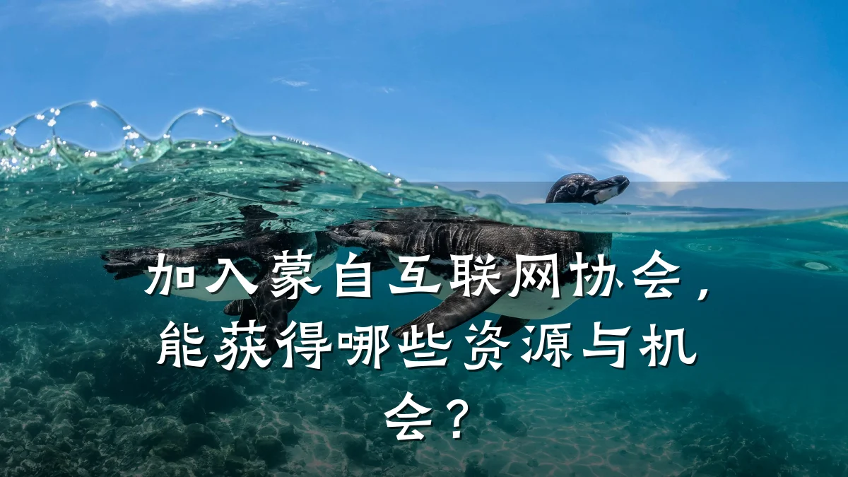 加入蒙自互联网协会，能获得哪些资源与机会？