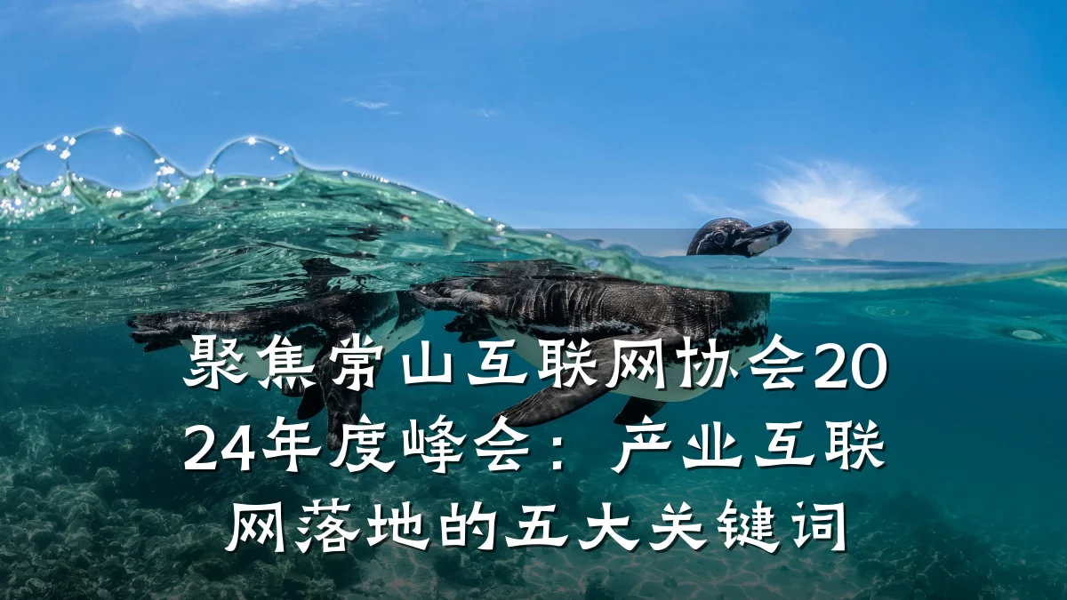 聚焦常山互联网协会2024年度峰会:产业互联网落地的五大关键词