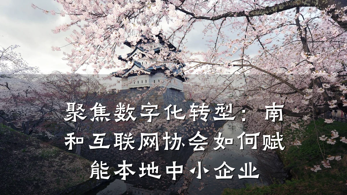 聚焦数字化转型:南和互联网协会如何赋能本地中小企业