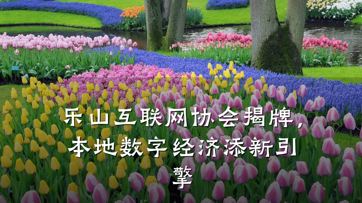 乐山互联网协会揭牌,本地数字经济添新引擎