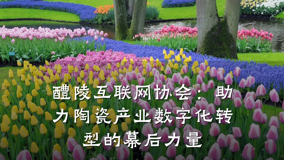 醴陵互联网协会：助力陶瓷产业数字化转型的幕后力量
