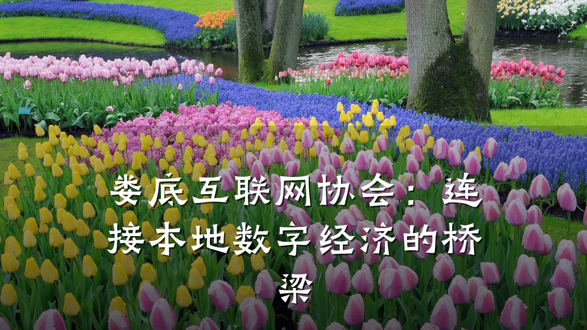 娄底互联网协会：连接本地数字经济的桥梁