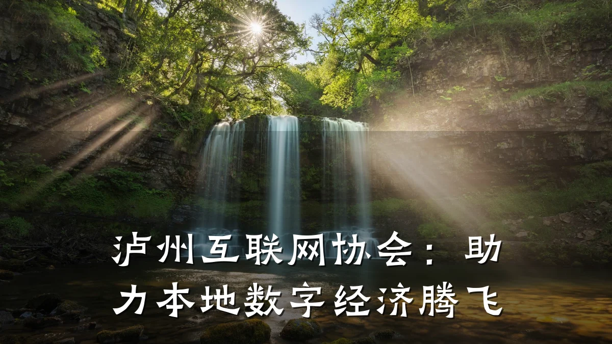 泸州互联网协会：助力本地数字经济腾飞