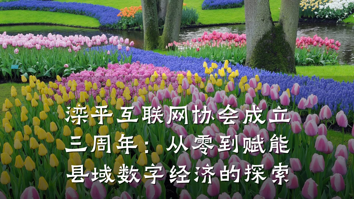 滦平互联网协会成立三周年:从零到赋能县域数字经济的探索